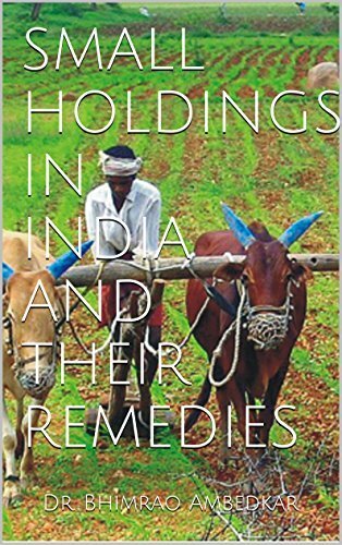 Small Holdings in India,
